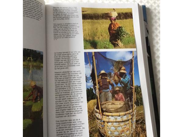 Boek van Indonesi&#xEB; prachtig en uniek land om te reizen TOP