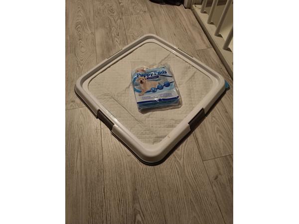 Padhouder met 4 puppy training pads