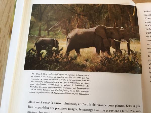 Afrika, Het oerwoud ,woestijn ,steppe ,een enorme vegetatie