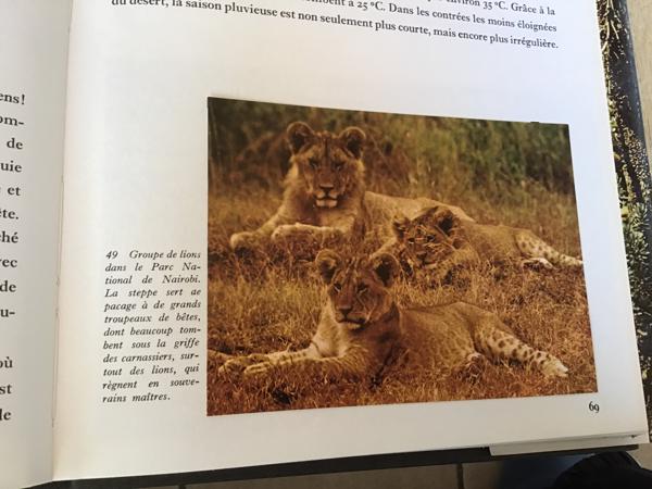 Afrika, Het oerwoud ,woestijn ,steppe ,een enorme vegetatie