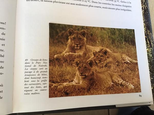 Afrika, Het oerwoud ,woestijn ,steppe ,een enorme vegetatie