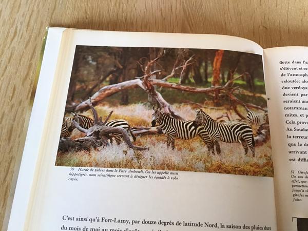 Afrika, Het oerwoud ,woestijn ,steppe ,een enorme vegetatie