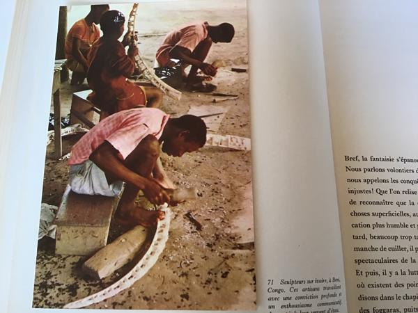 Afrika, Het oerwoud ,woestijn ,steppe ,een enorme vegetatie