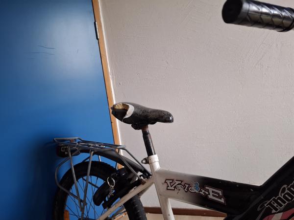 Kinderfiets 20 inch