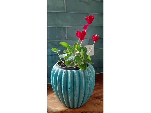 Cifre ceramica drop emerald wandtegel 7,5x30 cm glans groen