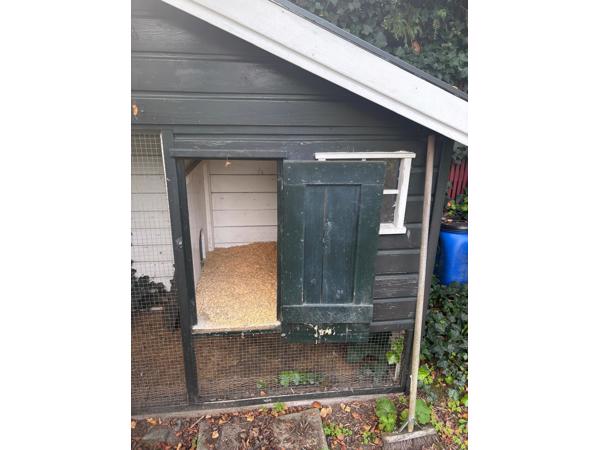 Gratis Kippenhok- te renoveren