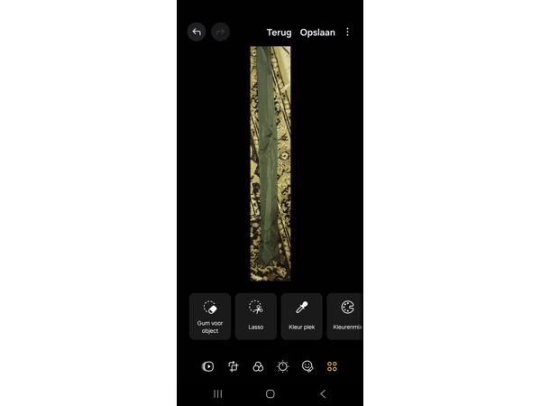 1 persoons karpervistent