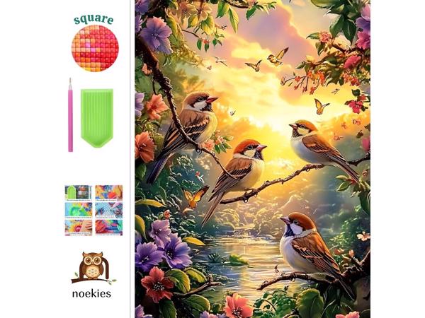 nr 24 Diamond Painting vogels 50x40cm (vierkant)