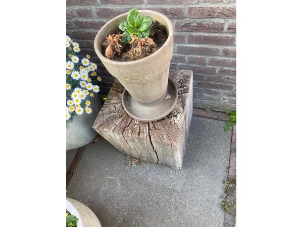 gratis eiken blokken met duddah beeld