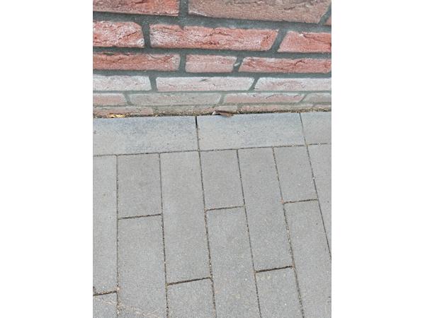 Sier antraciet grijs Beton klinker 10 cm x 30 cm x 6 cm hoog.