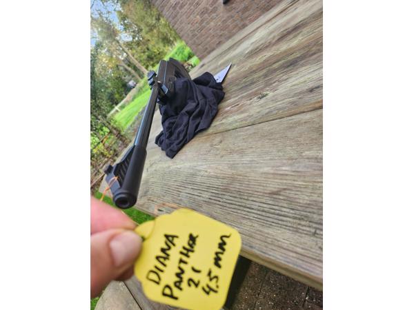 Diana knikloop luchtbuks windbuks phanther