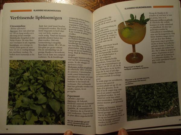 Tuinwijzer  -  Kruiden in de Tuin