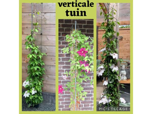 Plantensteunen  Verticaal tuinieren Klimplanten