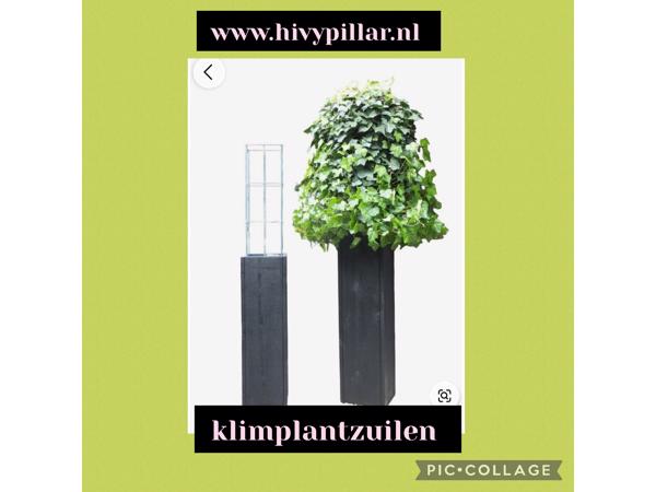 Plantensteunen  Verticaal tuinieren Klimplanten