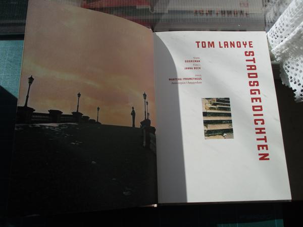 Tom Lanoye  -  Stadsgedichten