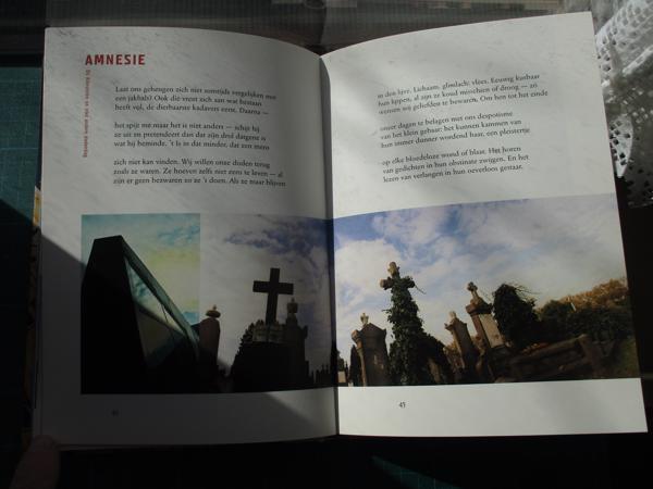 Tom Lanoye  -  Stadsgedichten