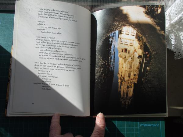 Tom Lanoye  -  Stadsgedichten