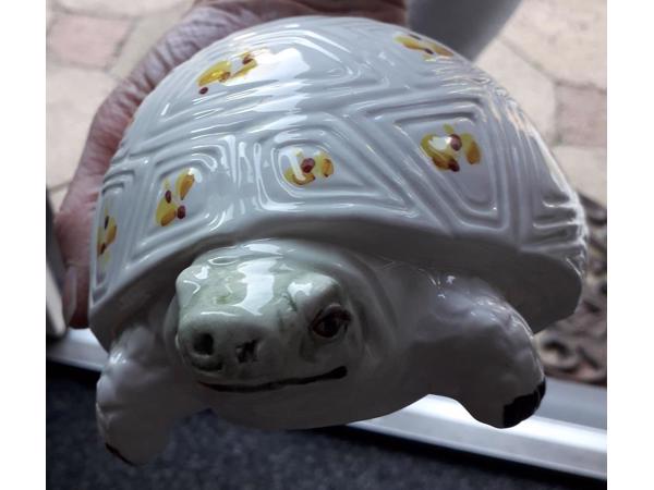 Spaarpot schildpad  ontzettend leuk gedecoreerd van keramiek