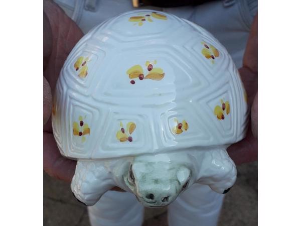 Spaarpot schildpad  ontzettend leuk gedecoreerd van keramiek