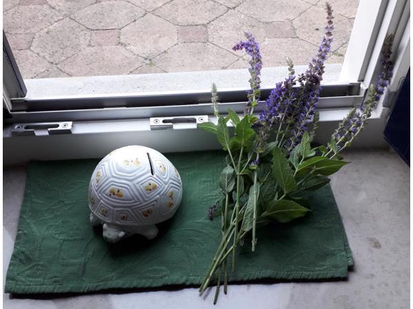 Spaarpot schildpad  ontzettend leuk gedecoreerd van keramiek