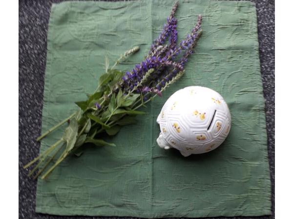 Spaarpot schildpad  ontzettend leuk gedecoreerd van keramiek