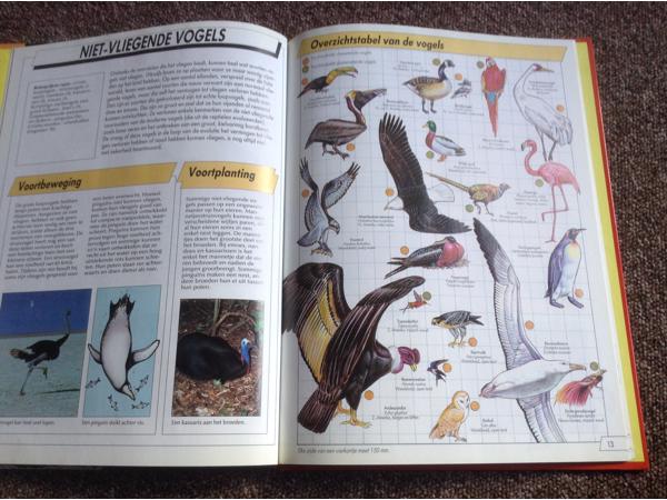 Boeken ; Onze Wereld Vandaag ; 16 Prachtige boeken, leerzaam