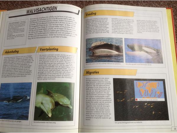 Boeken ; Onze Wereld Vandaag ; 16 Prachtige boeken, leerzaam