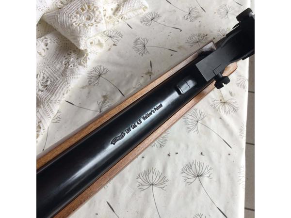 walter 55 4.5 mm in nieuwstaat