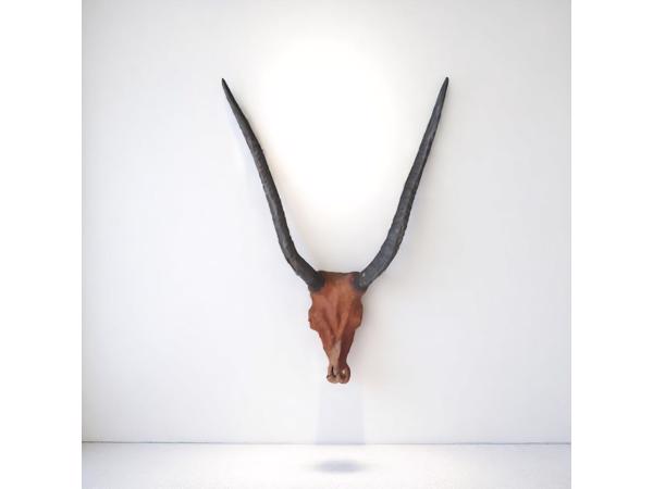 dierenkop bruin grijs 80x45x31cm
