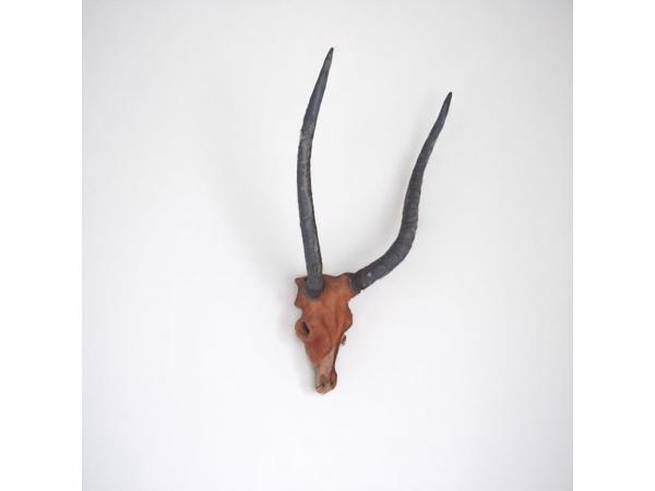 dierenkop bruin grijs 80x45x31cm