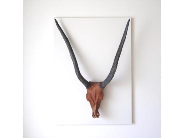 dierenkop bruin grijs 80x45x31cm