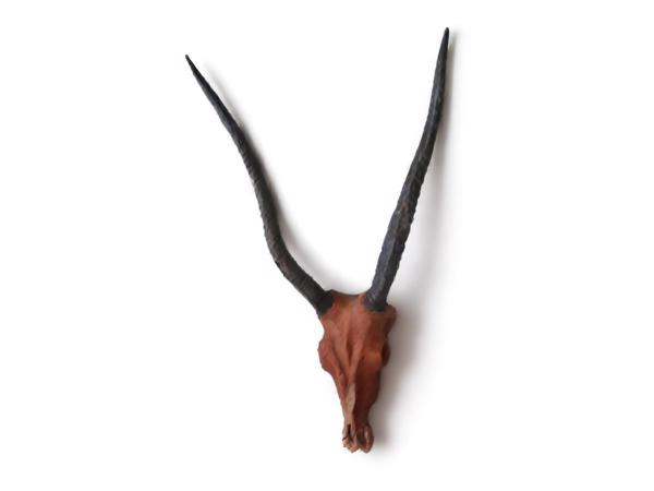 dierenkop bruin grijs 80x45x31cm