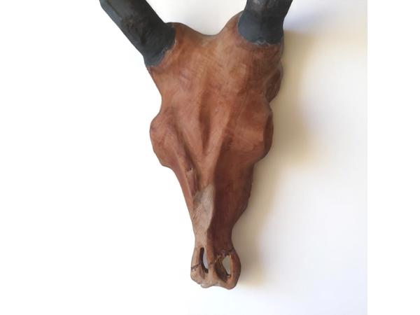 dierenkop bruin grijs 80x45x31cm
