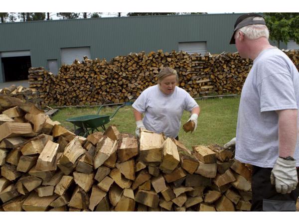 Brandhout te koop en snelle levering, hout van goede kwalite
