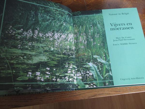 Natuur in België  -  Vijvers en Moerassen