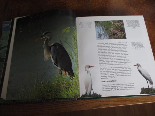 Natuur in België  -  Vijvers en Moerassen