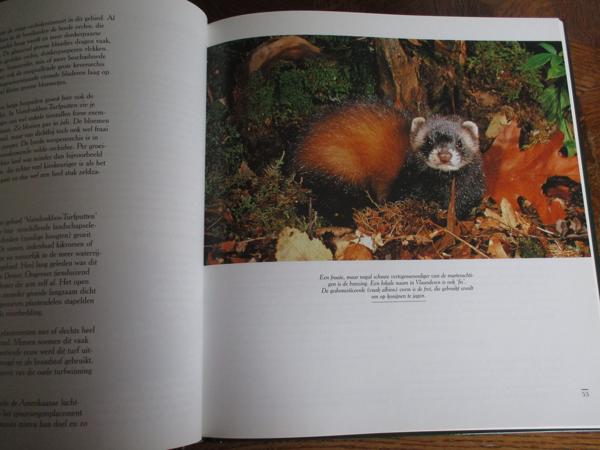 Natuur in België  -  Vijvers en Moerassen