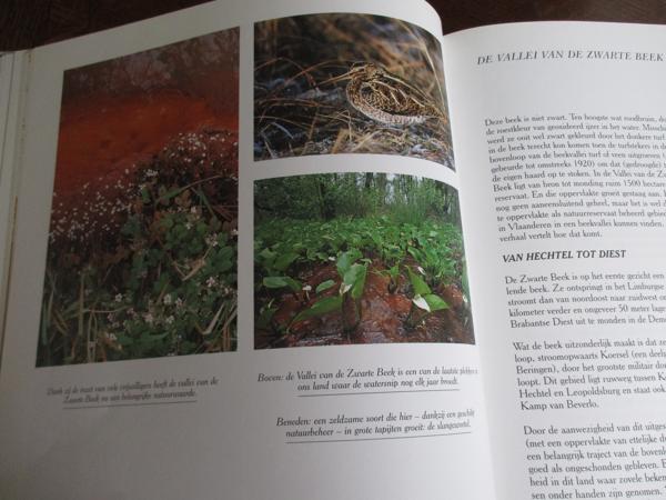 Natuur in België  -  Vijvers en Moerassen