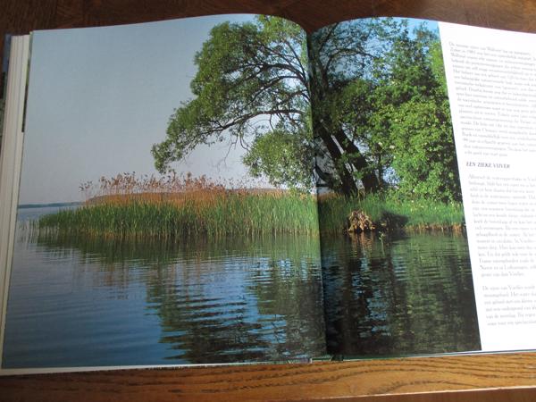 Natuur in België  -  Vijvers en Moerassen