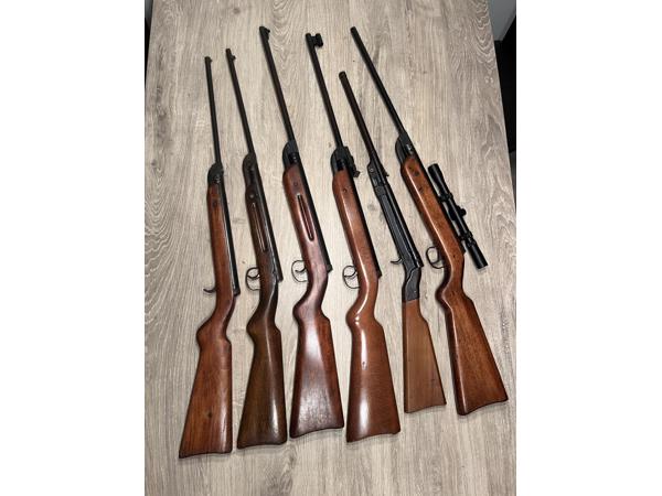 Zes Diana luchtbuksen