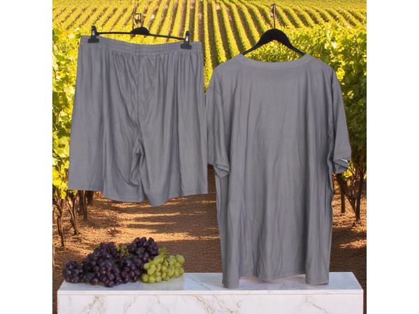 2 delig heren zomer set grijs XXXL