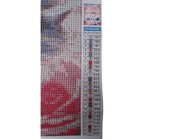 nr 48 Diamond Painting Zwanen 50x40cm (vierkant)