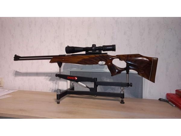 Hw77 met custom stock te koop