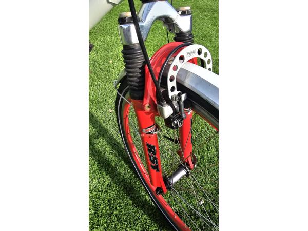 Prachtige RIDLEY THUNDER 2 mountainbike tandem