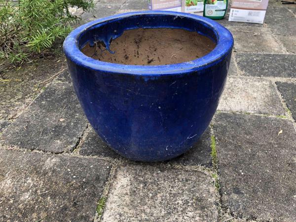 Een grote blauwe terracotta plantenpot