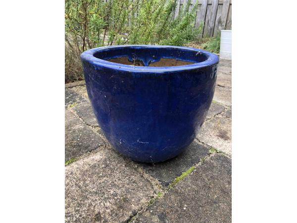 Een grote blauwe terracotta plantenpot