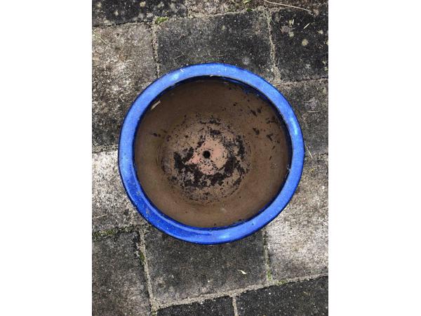 Een grote blauwe terracotta plantenpot