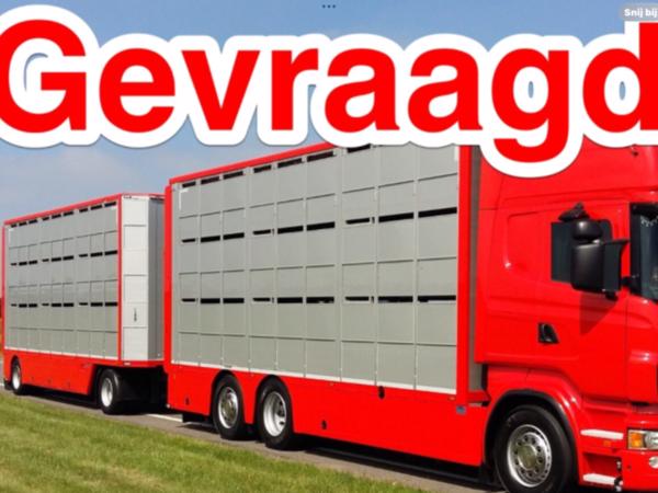Zundapp 517 Goudhaantje Opknappers voor Camping Vakantie