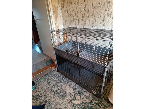 Cavia kooi met twee verdiepingen