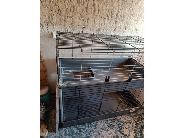 Cavia kooi met twee verdiepingen